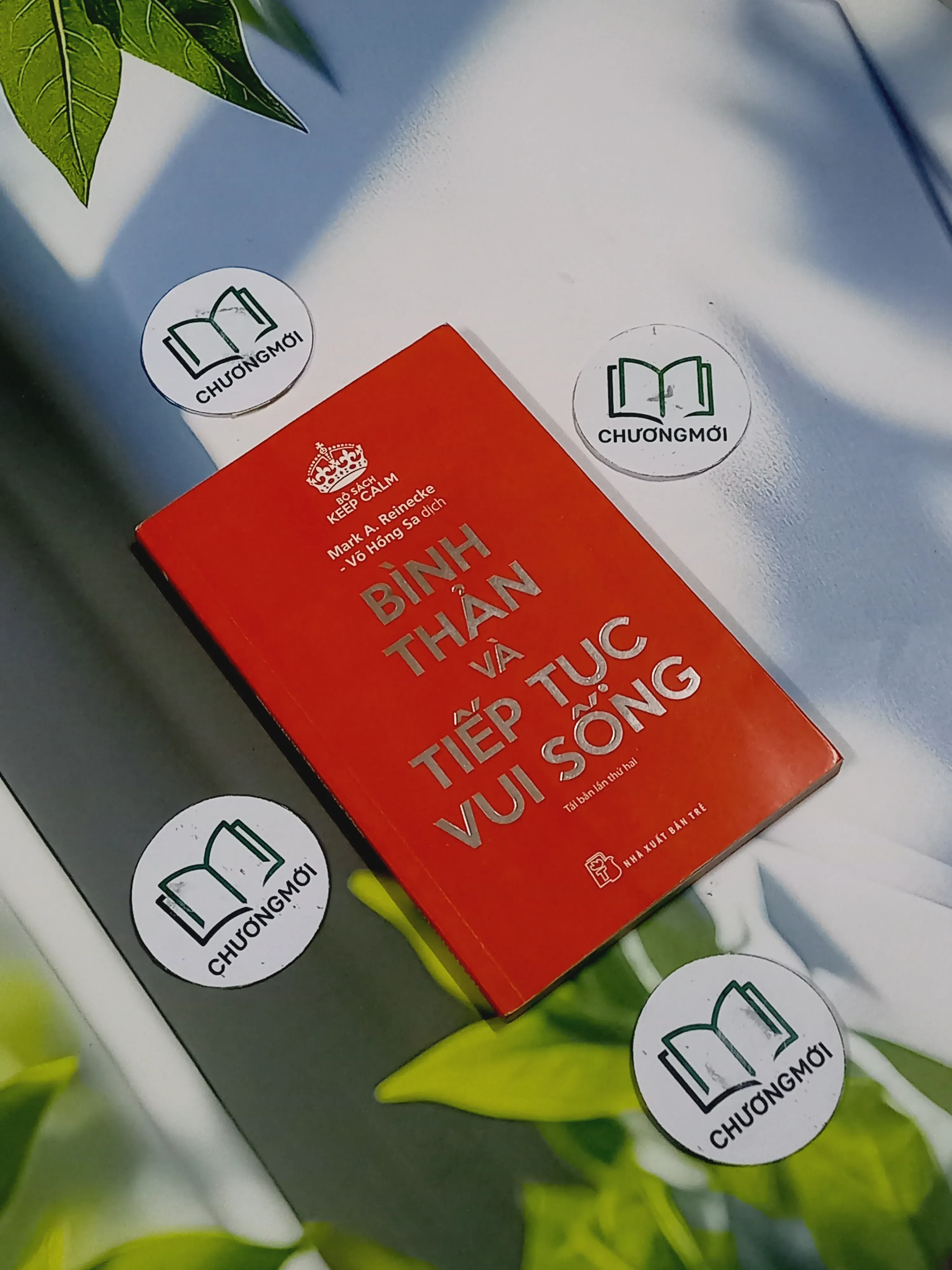 Bình Thản Và Tiếp Tục Vui Sống - Tâm Thanh Liêm