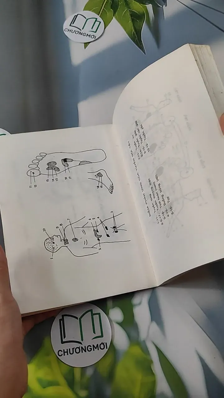 Bấm Huyệt Nơi Bàn Chân - BS. Ngô Văn Quỹ, Trần Văn Thụ 780809