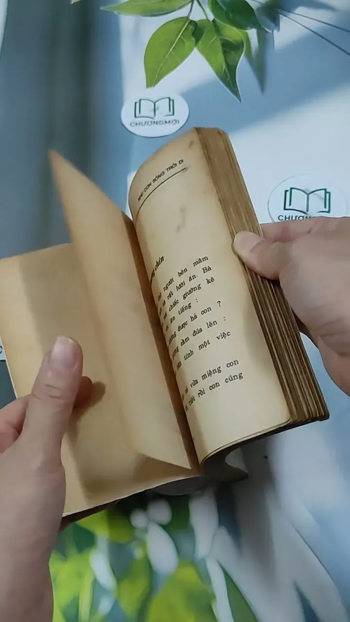 Như Con Sóng Trôi Đi - Thy Giang 713860