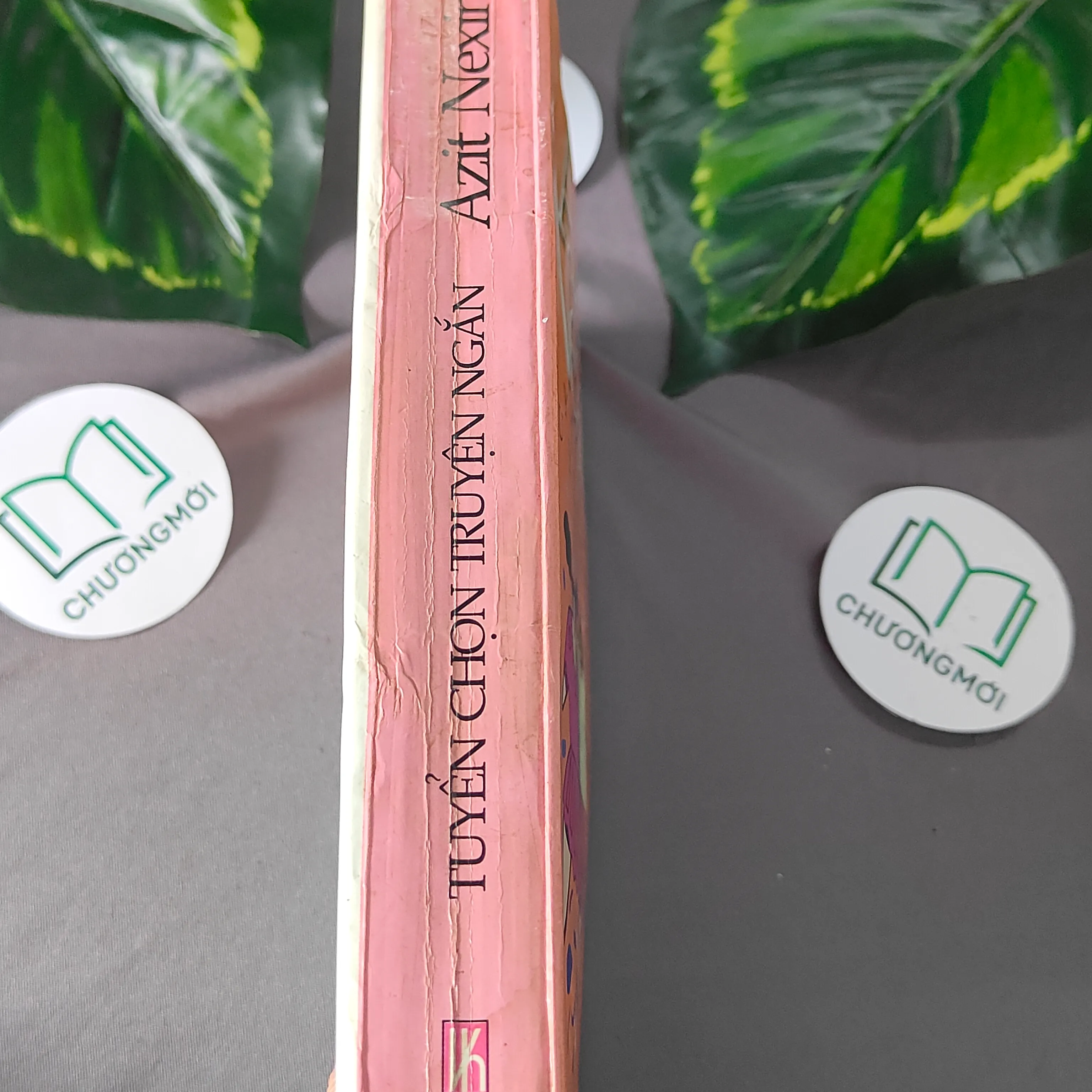 Tuyển Chọn Truyện Ngắn Azit Nexin (2001) - Azit Nesin 603324