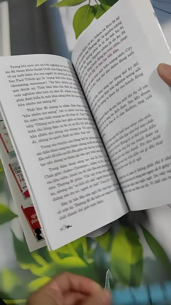 Hoa Sen Và Đầm Lầy - Hilda Lee Dail 787107