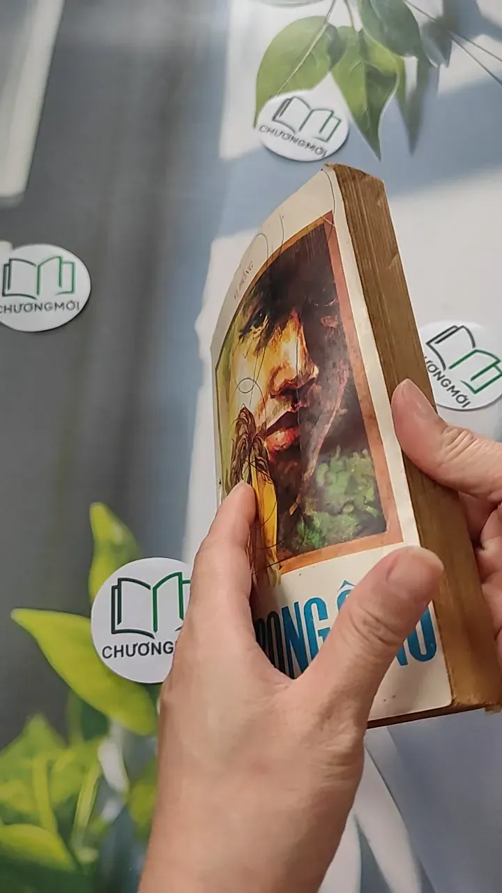 [XƯA] Người Trong Ống (1990) - Vi Hồng 776053