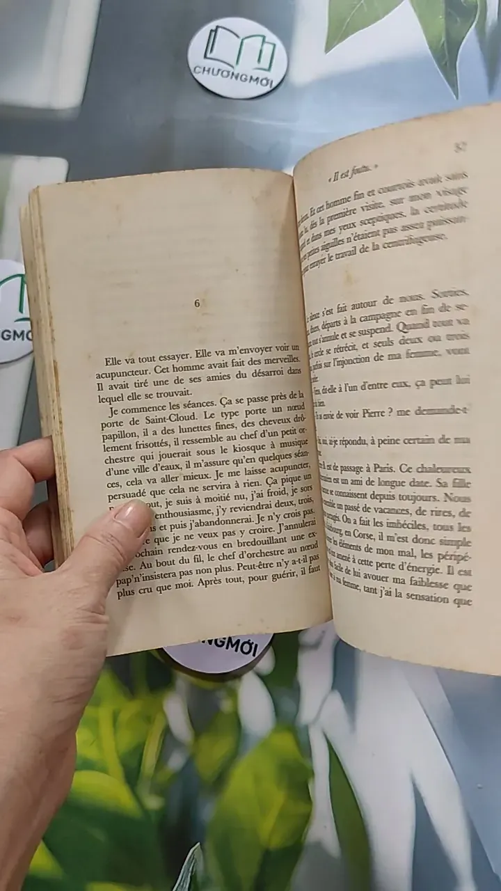 [MIỄN PHÍ BỌC SÁCH] Tomber sept fois, se relever huit - Philippe Labro 754471