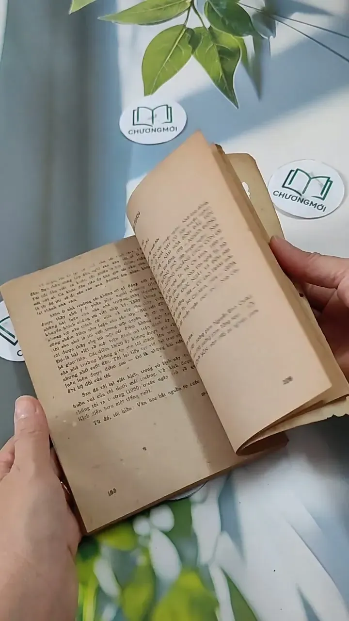 Hồi Nhỏ Các Nhà Văn Học Văn 713828