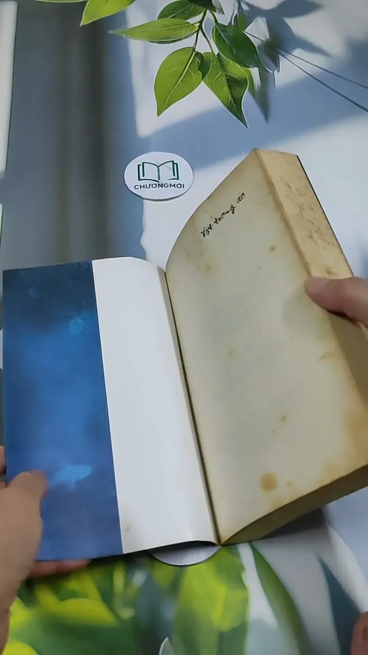 Vật Trong Ao - Na Chích Hồ Ly 705687