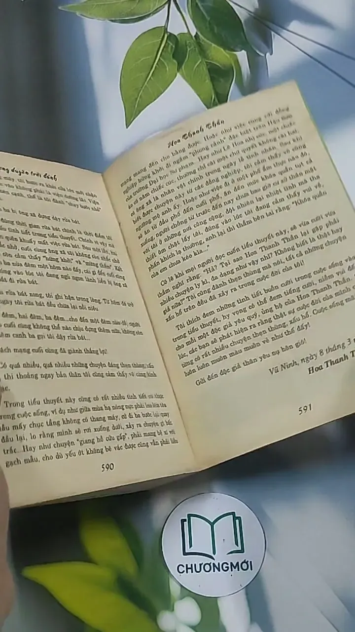 Mối lương duyên trời đánh - Hoa Thanh Thần 694961