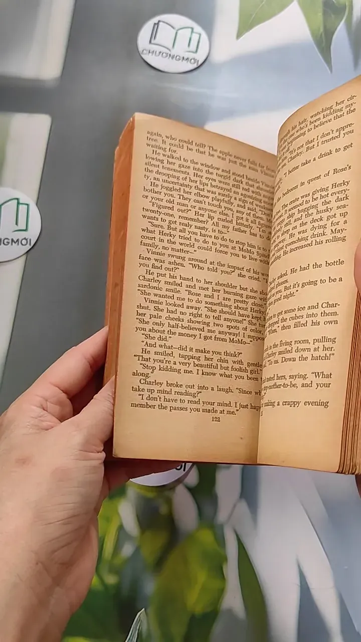 [XƯA] Vinnie (1968) - Albert T. Quandt 754454