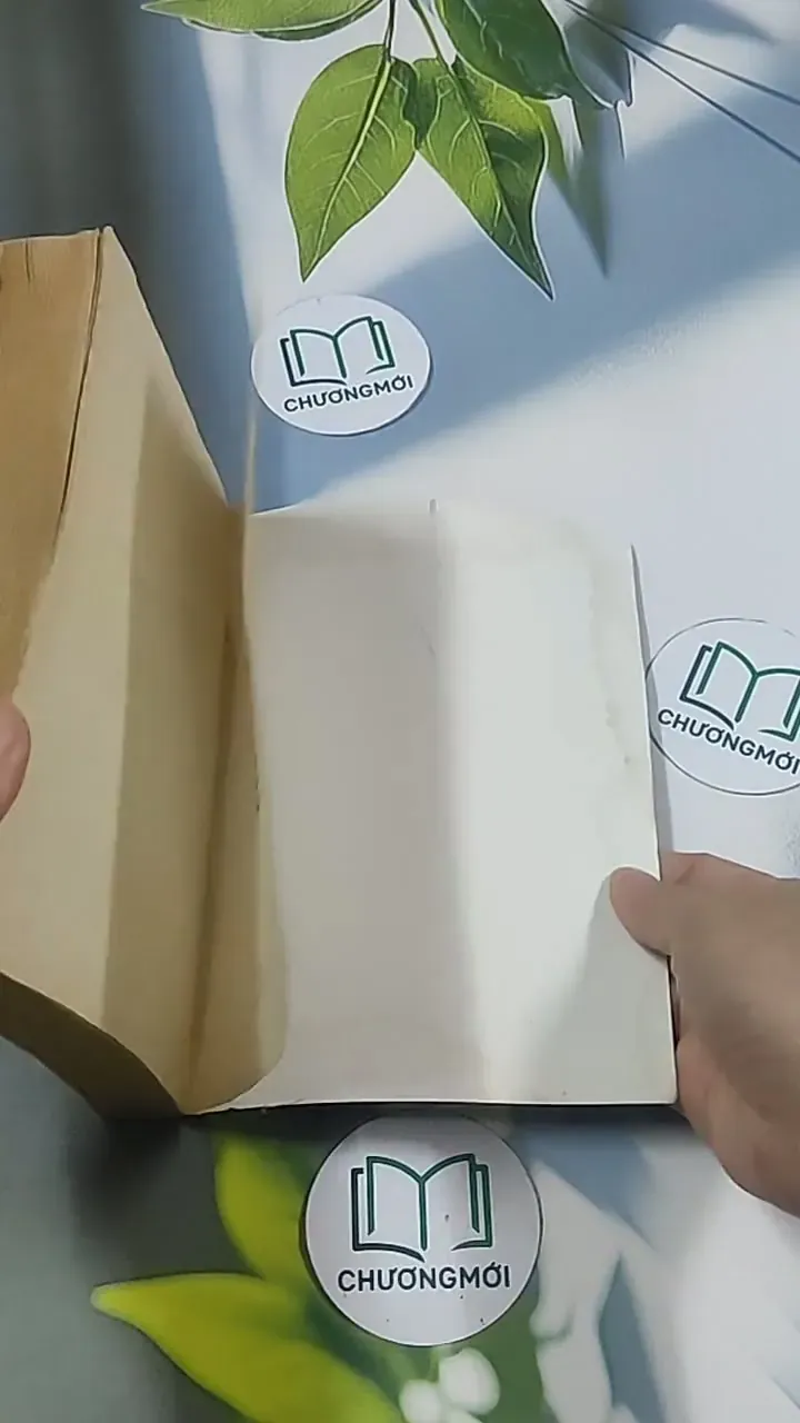 Nhà băng tập 2 - Arthur Hailey 695001