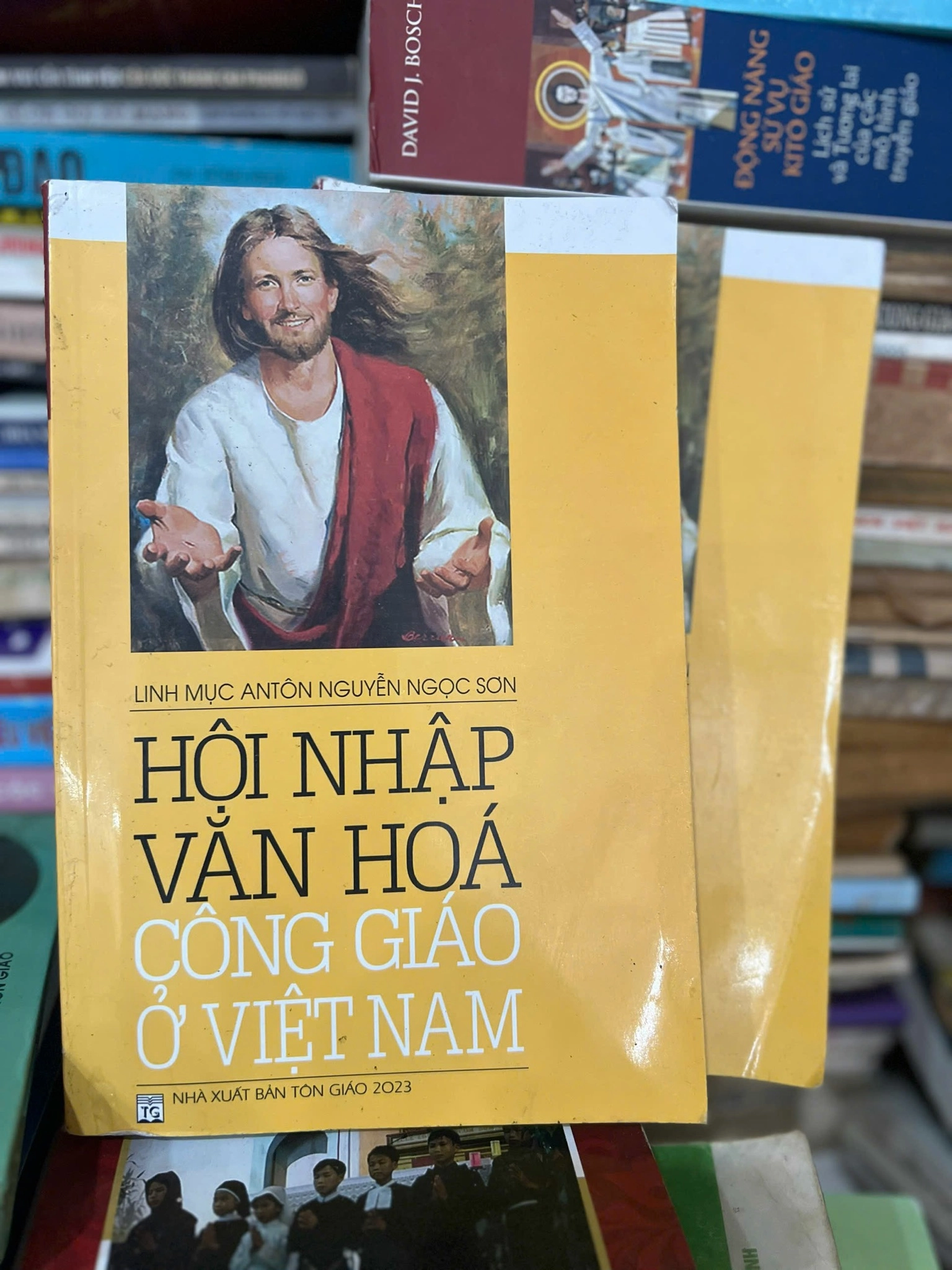 Hội nhập công giáo ở việt nam ⚖️ by  - Sách Book Cover - Ngọc Hiển Books