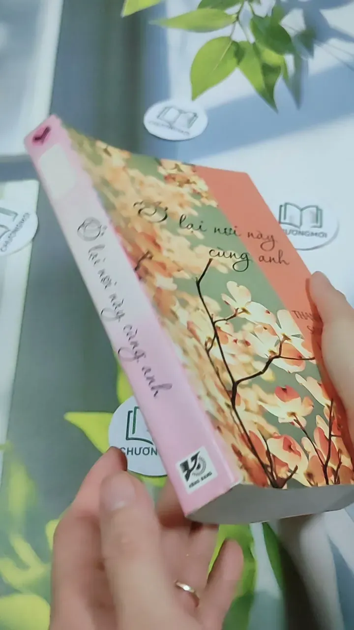 Ở Lại Nơi Này Cùng Anh - Thanh Sam Lạc Thác 744770