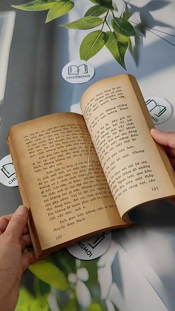 Những Người Đi Và Hai Người Ở Lại - Đinh Quang Nhã 713809