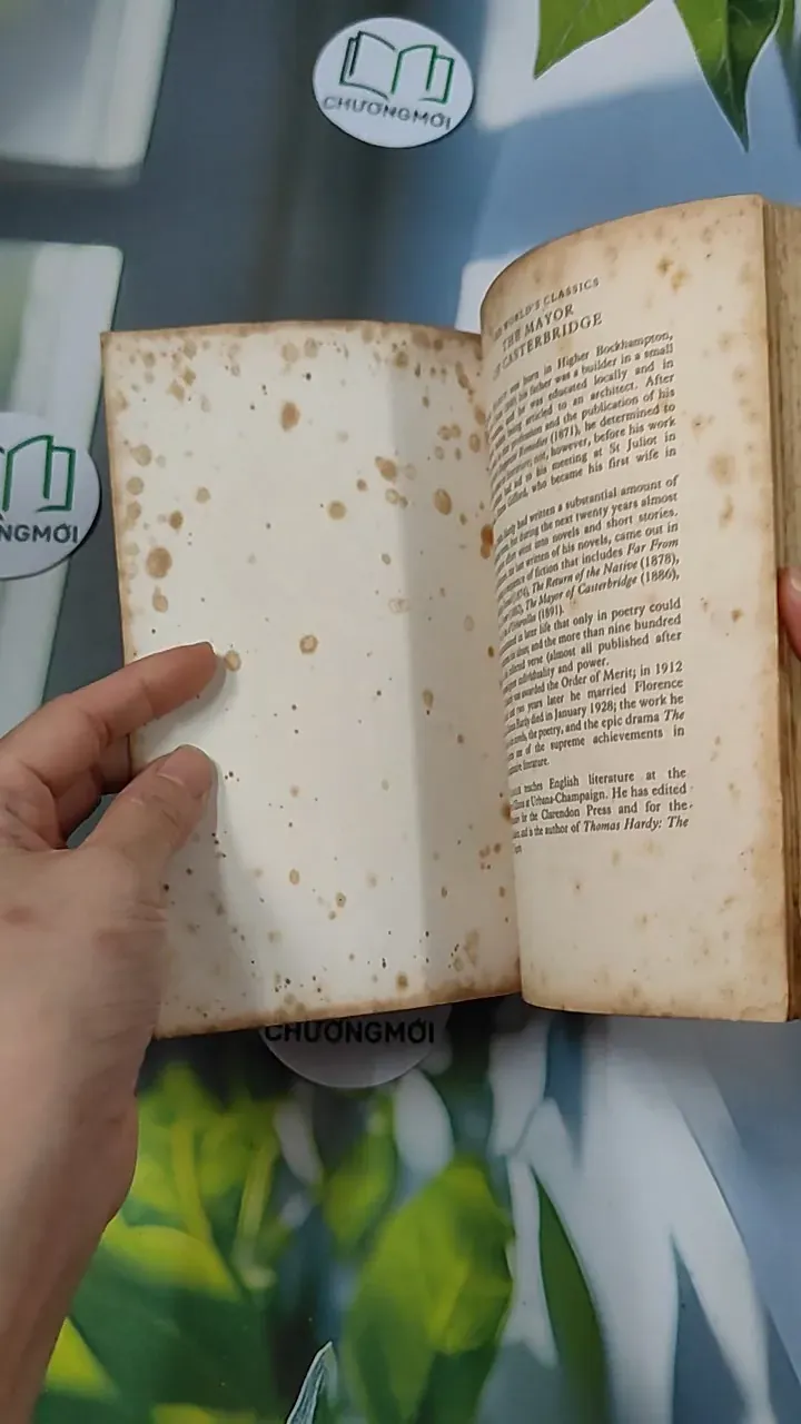 [XƯA] The Mayor of Casterbridge (1996) - Thomas Hardy 754508