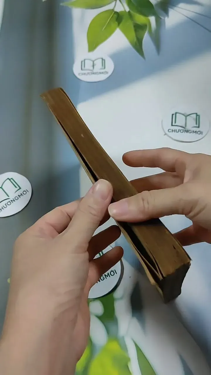 Kế Hoạch Hóa Kinh Tế Quốc Dân - Du Lô Giang 713884