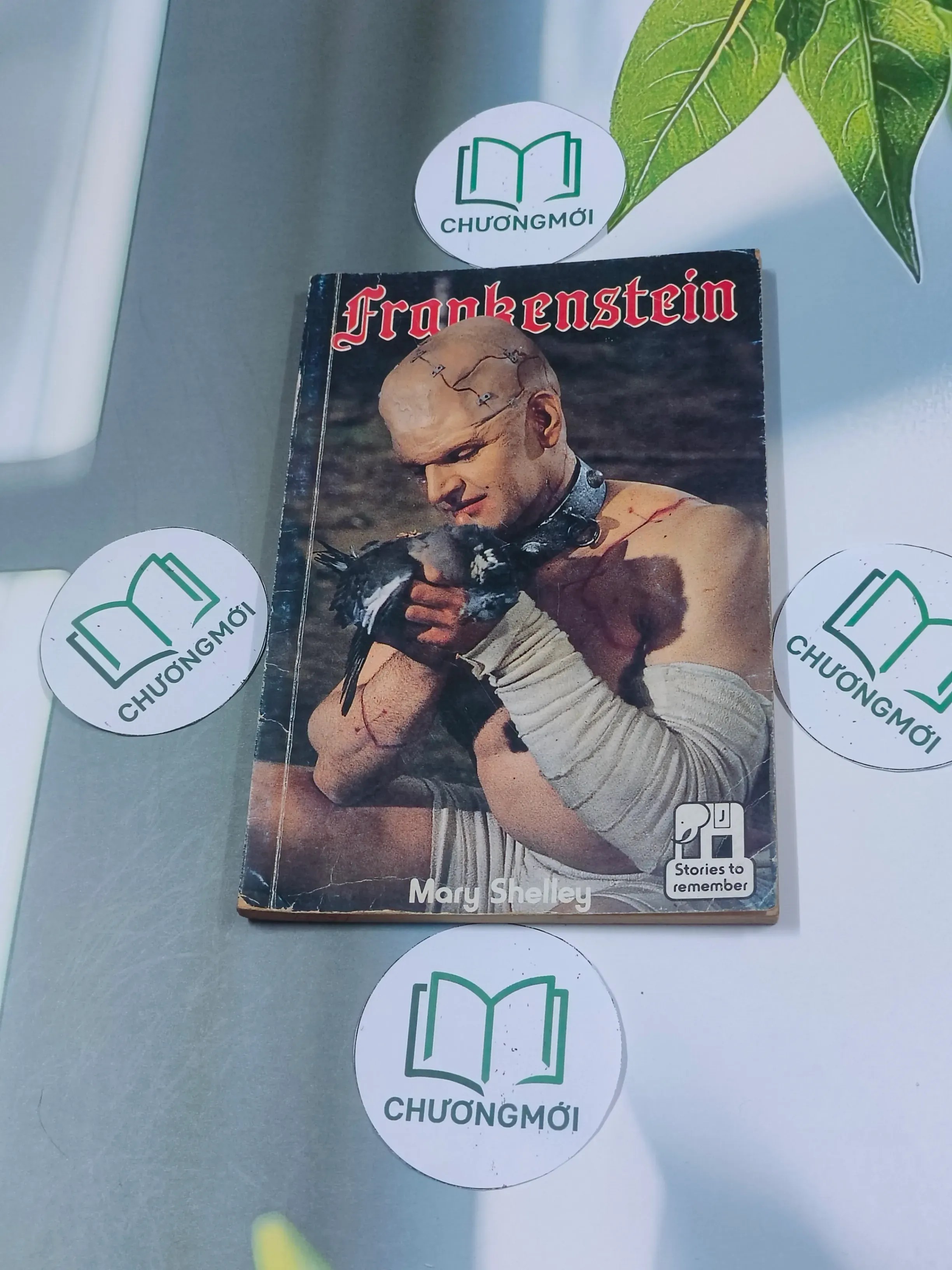 Frankenstein - Mary Wollstonecraft Shelley