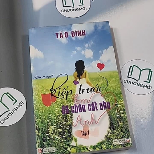 Kiếp trước em đã chôn cất cho anh (Tập 1) - Tào Đình