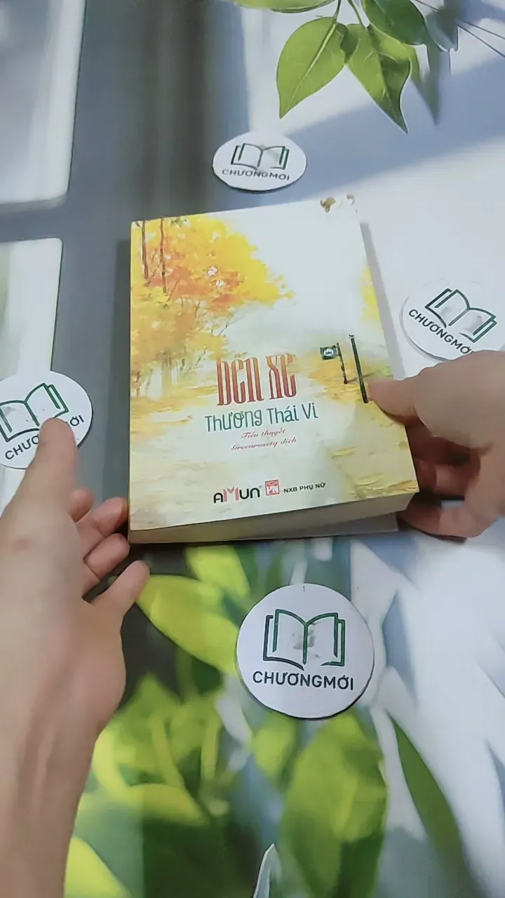 Bến Xe - Thương Thái Vi 744709