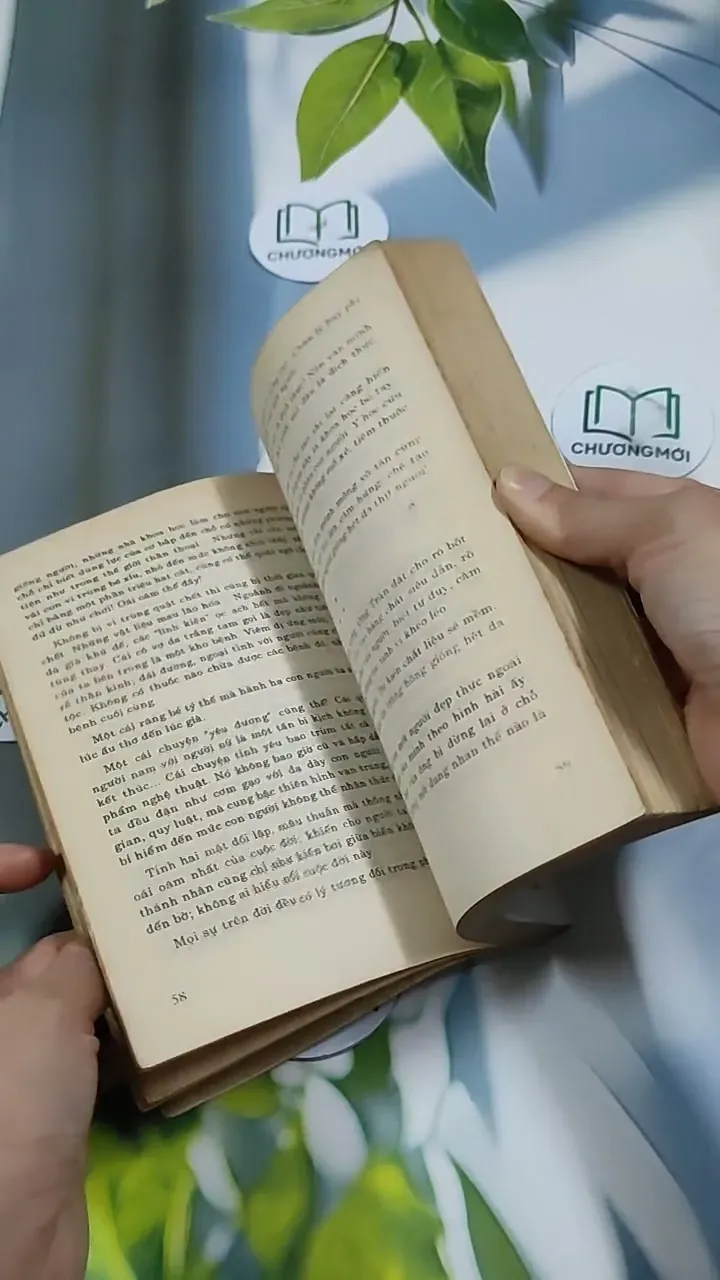 Hoa Hoàng Lan - Nguyễn Phan Hách 713866