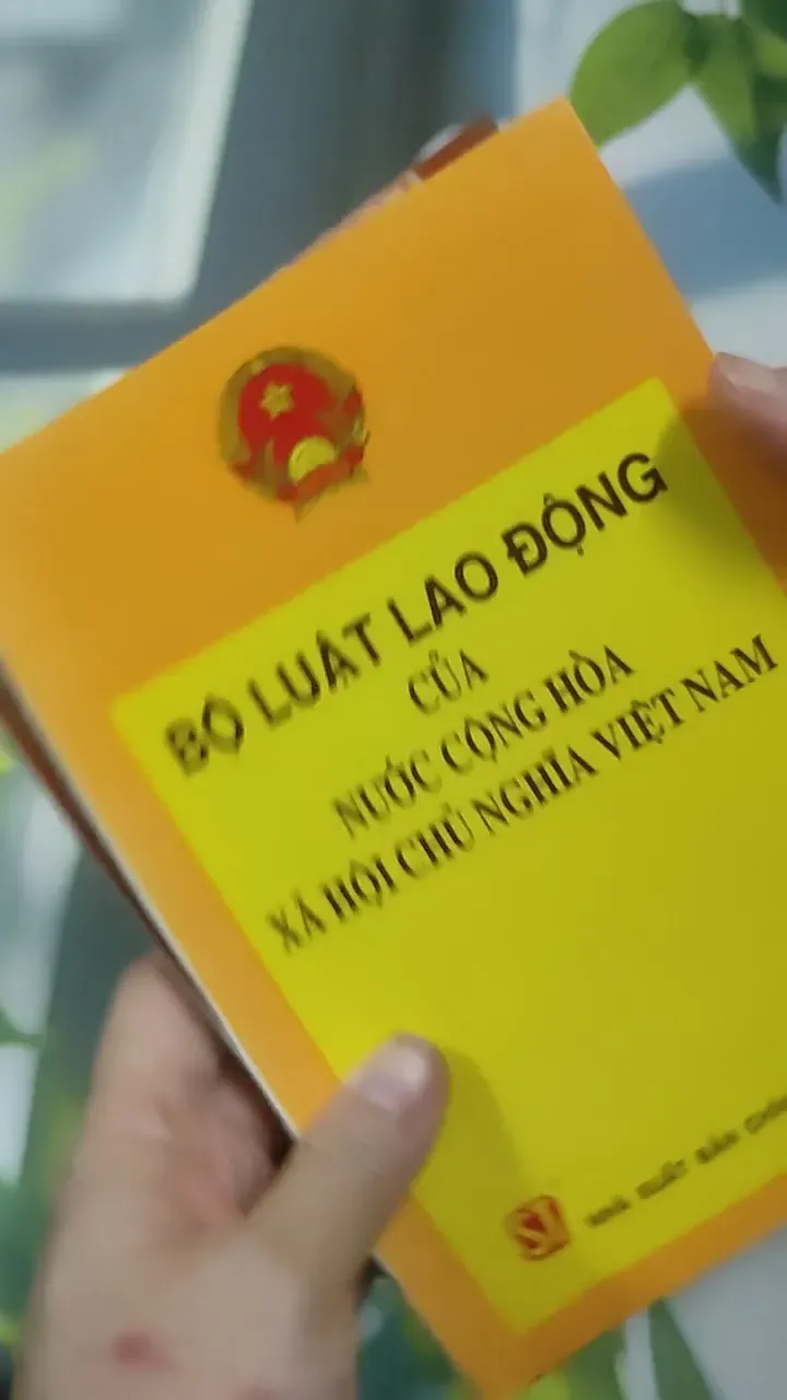 Combo: Bộ Luật Lao Động Của Nước Cộng Hòa XHCN Việt Nam, Luật Đất Đai 727363