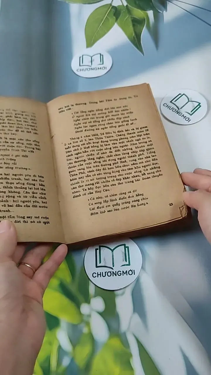 Hướng Dẫn Ôn Tập Và Làm Bài Thi Vào Các Trường Đại Học - Môn Văn 713821