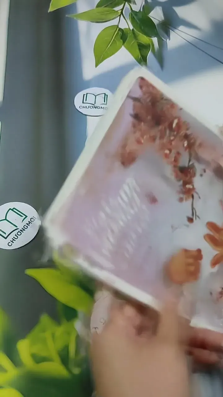 Việt Nam Của Tôi - Những Câu Chuyện Nhận Con Nuôi 705739