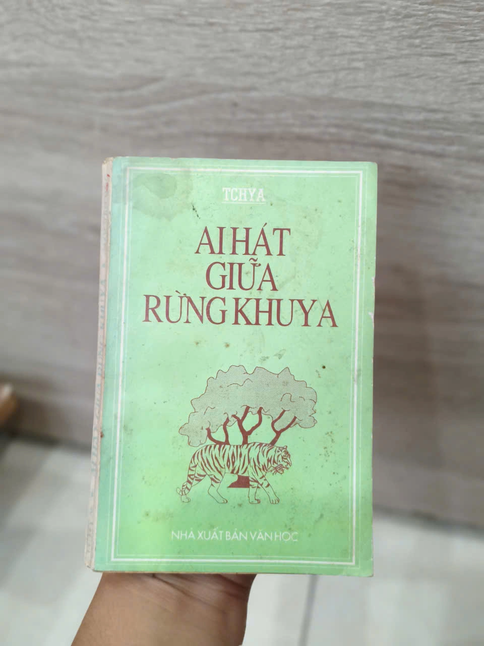 Ai Hát Giữa Rừng Khuya by TchyA (Đái Đức Tuấn) - Sách Book Cover - Ngọc Hiển Books