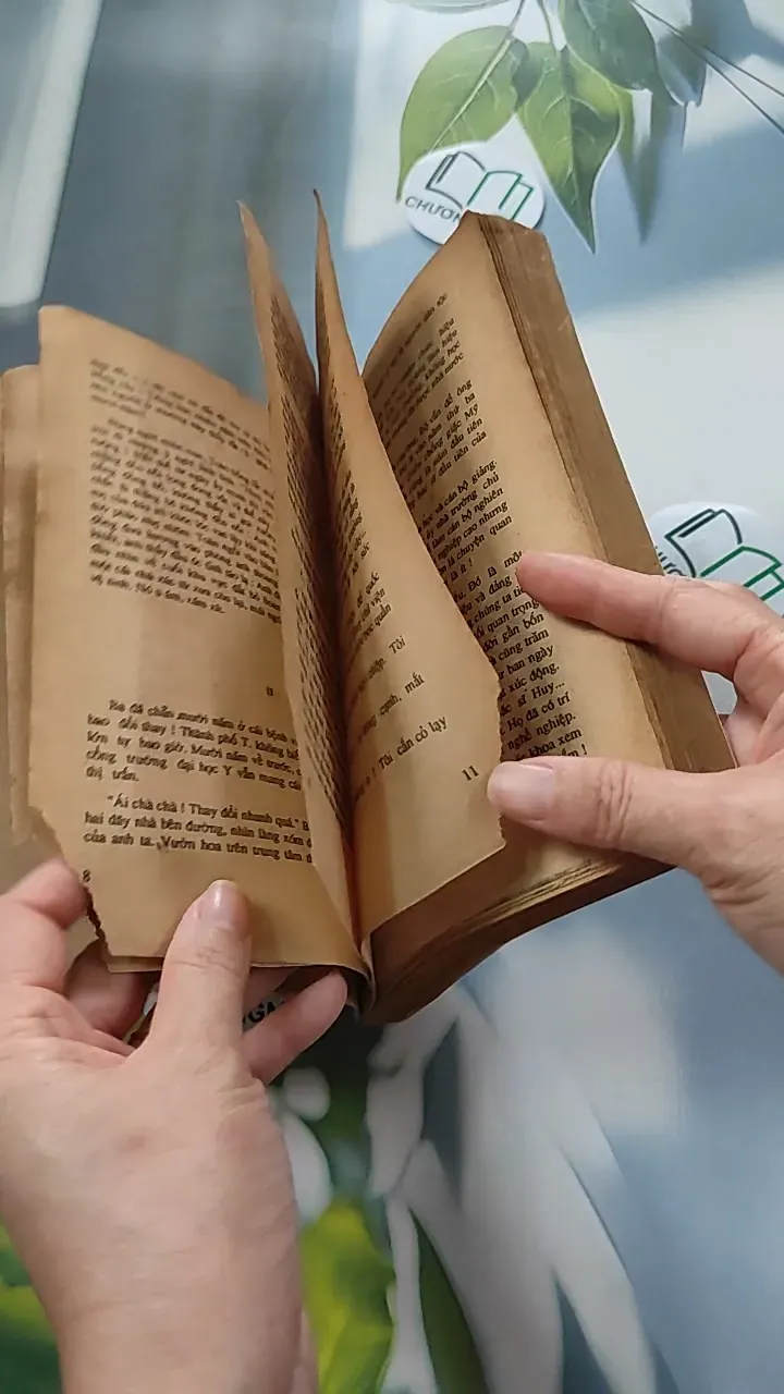 [XƯA] Người Trong Ống (1990) - Vi Hồng 776053