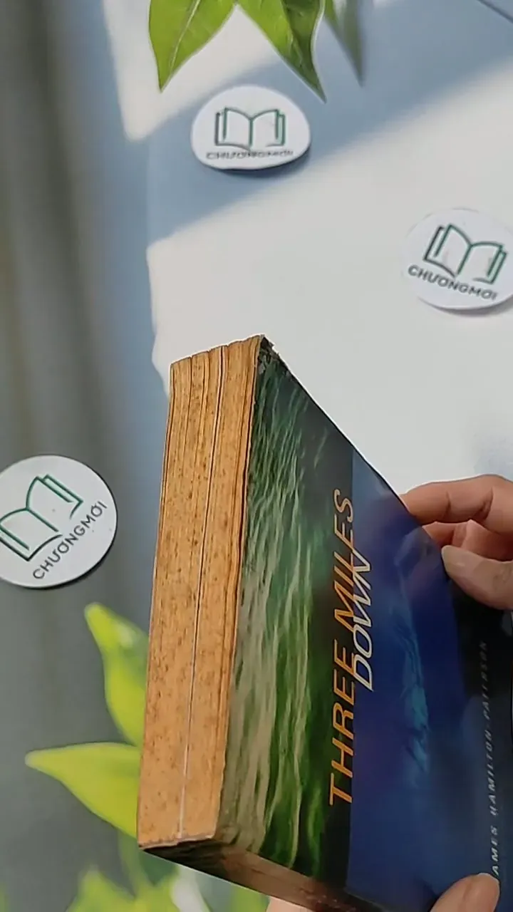 [MIỄN PHÍ BỌC SÁCH] Three Miles Down - James Hamilton-Paterson 703105