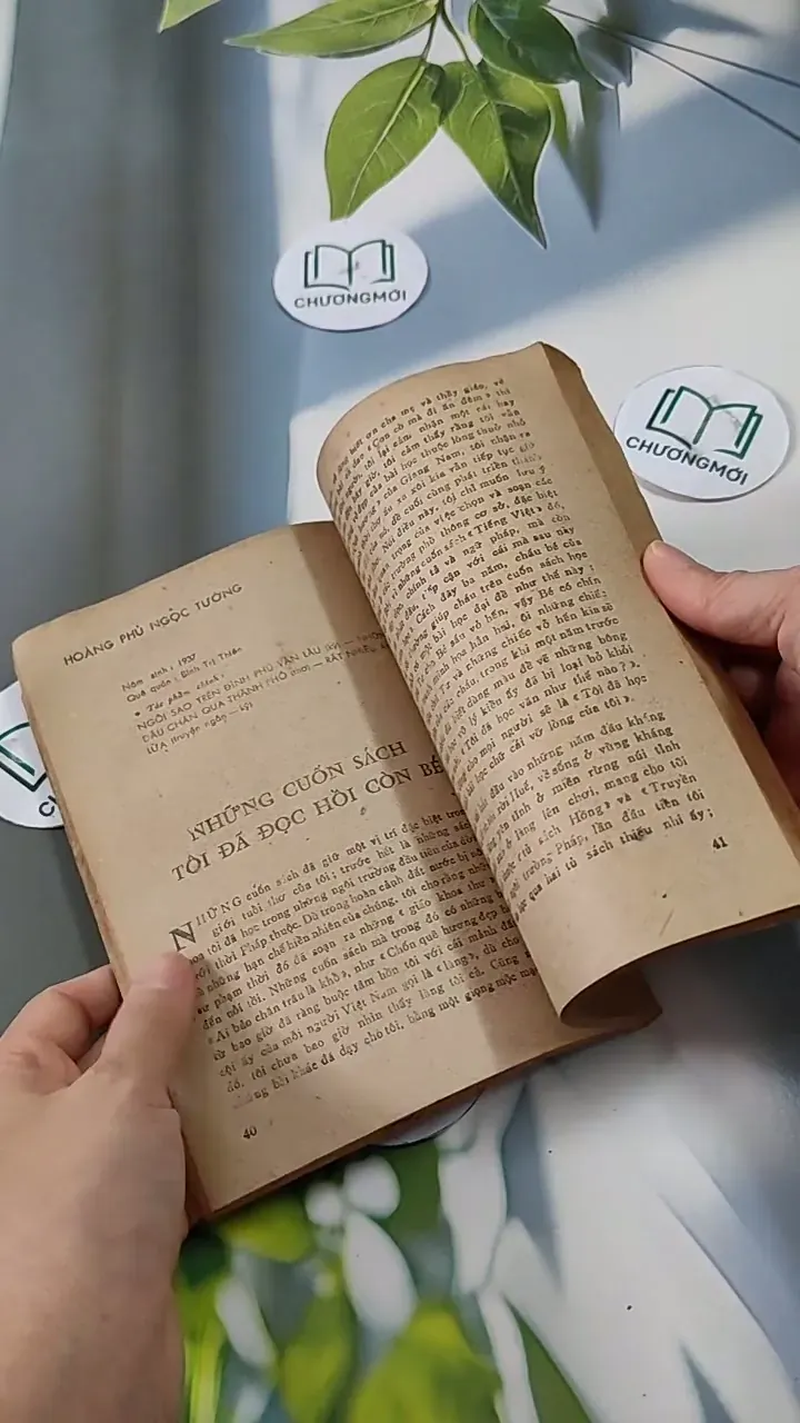 Hồi Nhỏ Các Nhà Văn Học Văn 713828