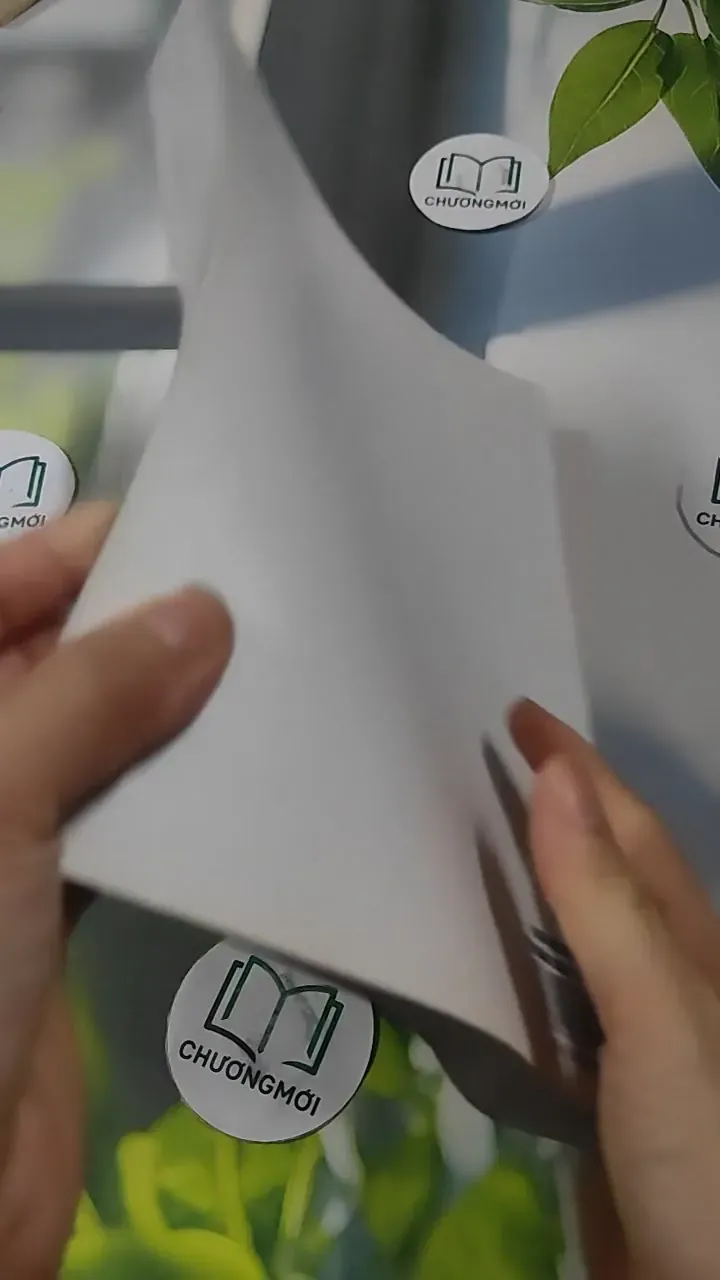 Lịch Vạn Niên Từ Năm 2000 - 2100 - Diệu Tuệ 727382