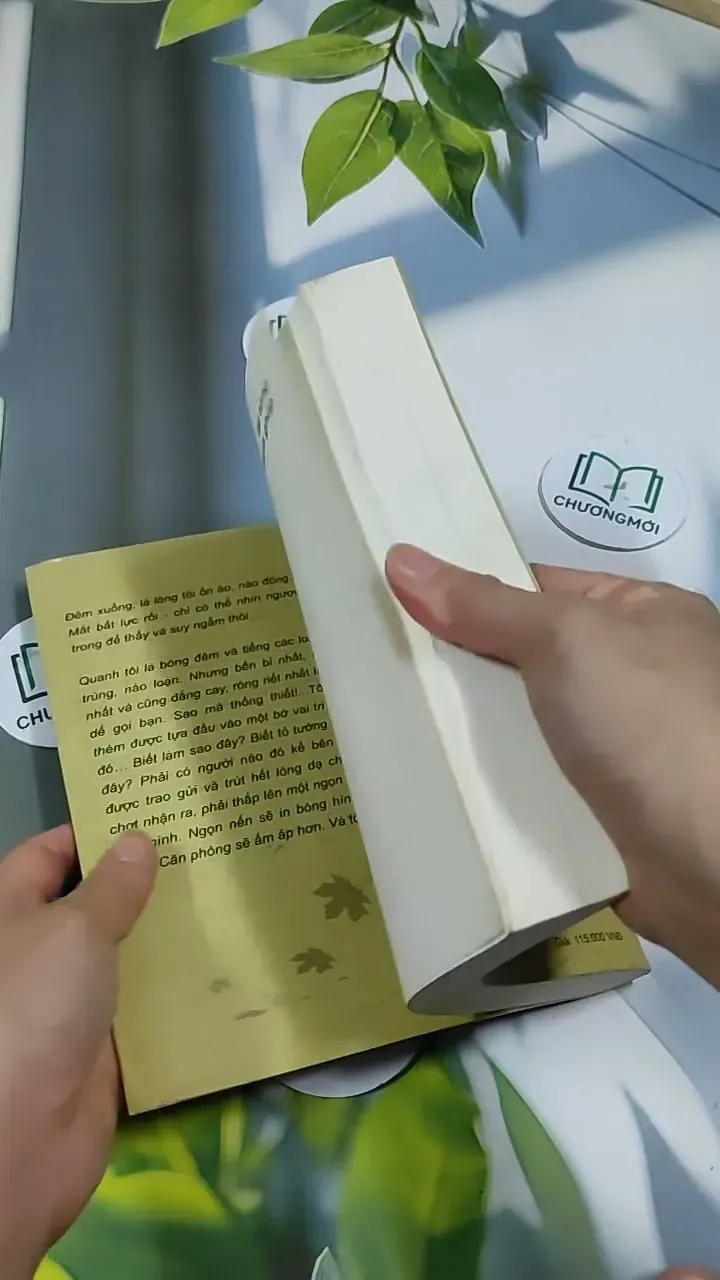 Lật Từng Mảnh Ghép - Trương Tuyết Mai 705691