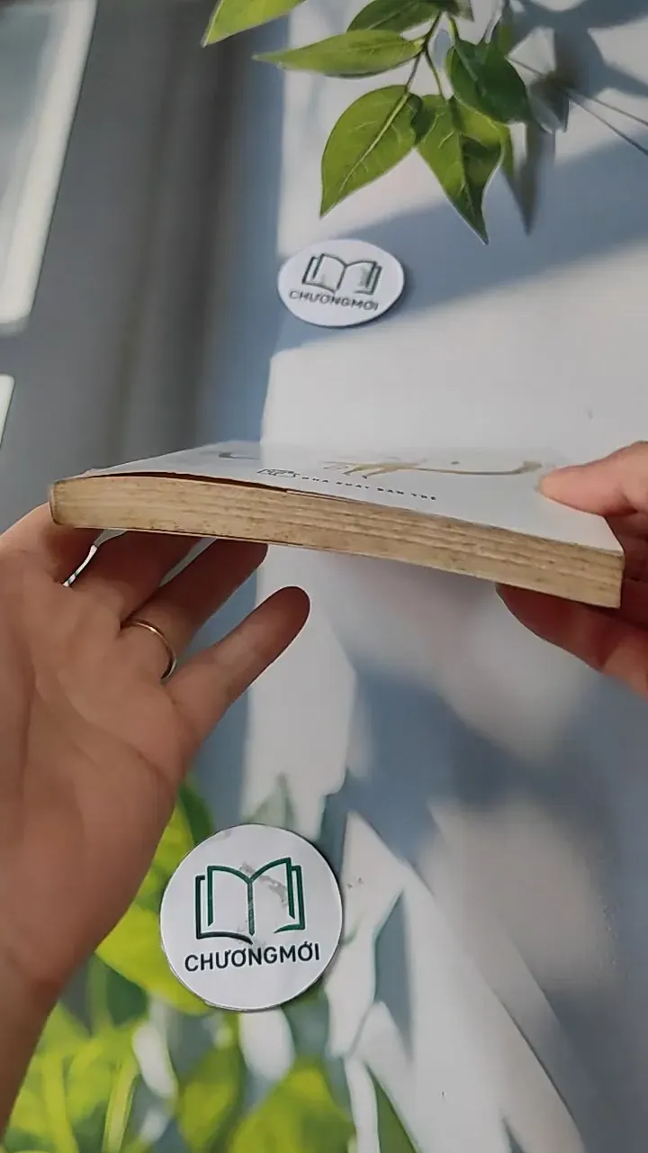 Tiêu Gì Cho Thời Gian Để Sống - Hoàng Việt Hằng 727247