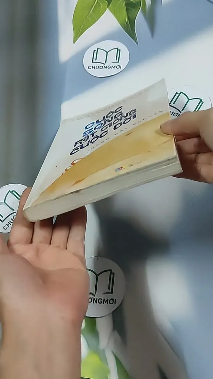 Cuộc sống rất giống cuộc đời 698587