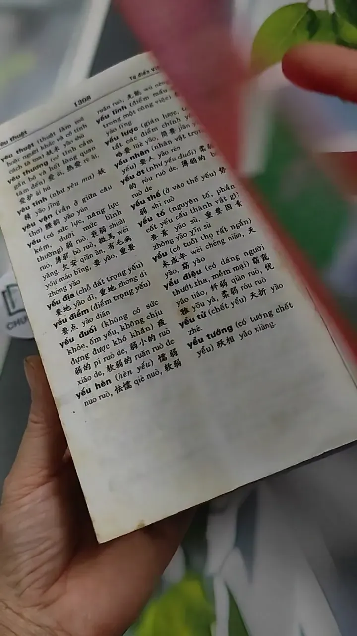 Từ Điển Việt Hoa - Kim Anh & Lệ Hằng 727299