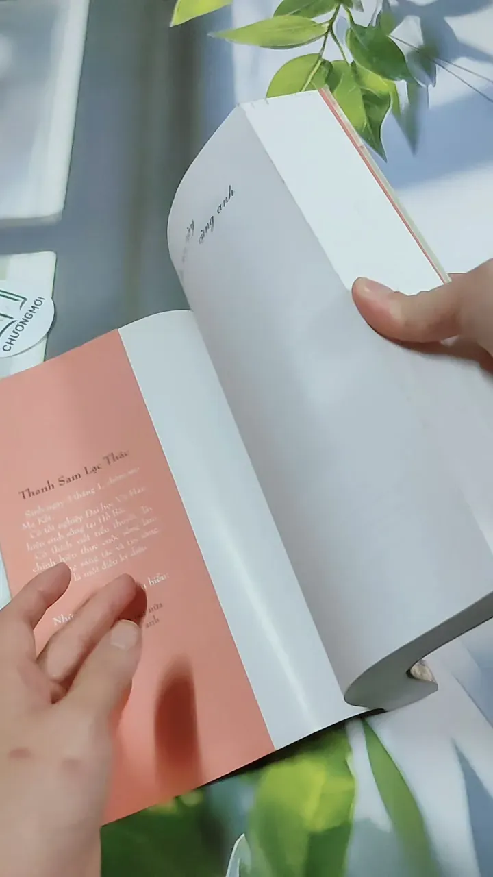 Ở Lại Nơi Này Cùng Anh - Thanh Sam Lạc Thác 744770