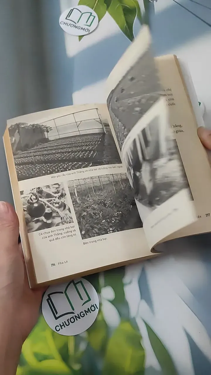 Ăn Gì Cho Không Độc Hại - Pha Lê 780794