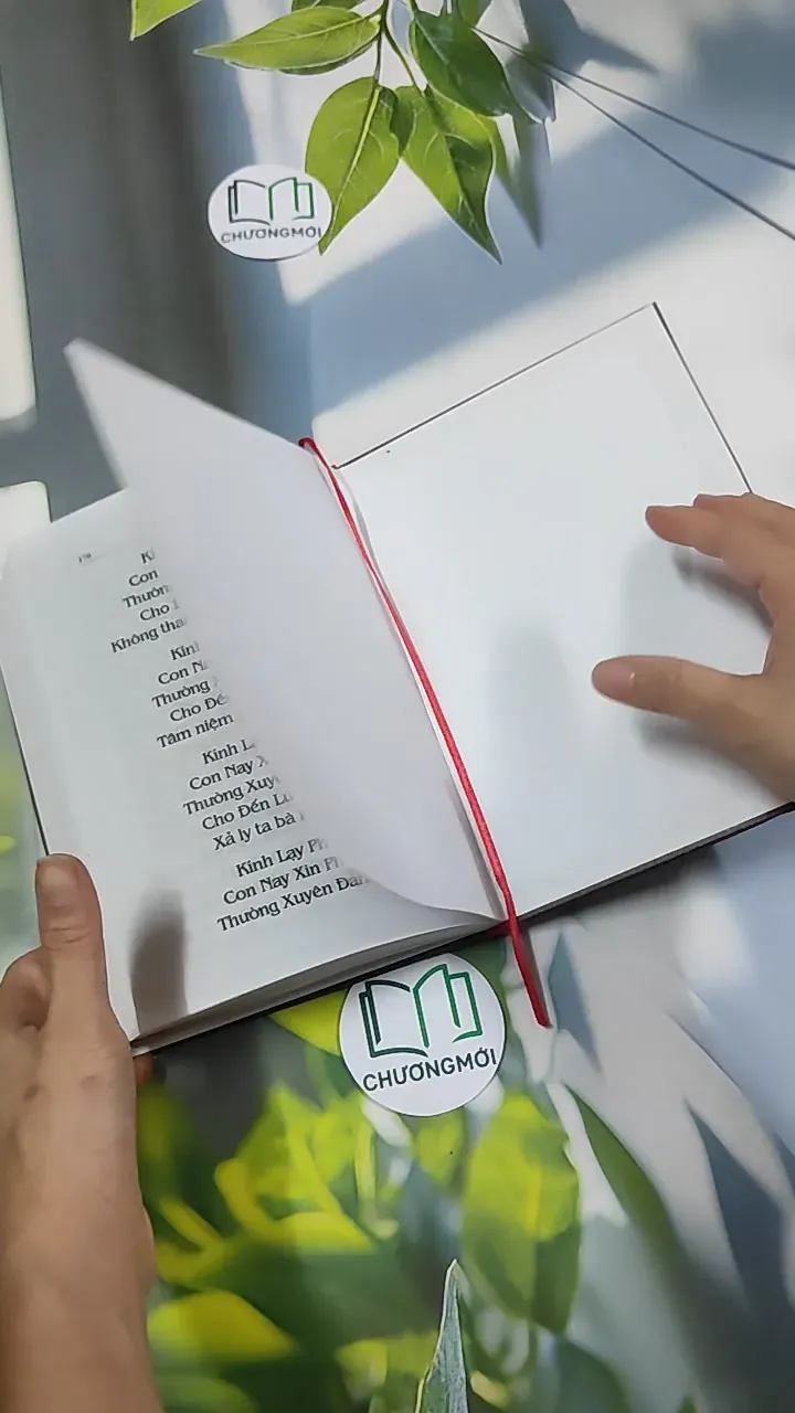 Đại Thừa Vô Lượng Thọ Trang Nghiêm Thanh Tịnh Bình Đẳng Giác Kinh - HT. Thích Đức Niệm 750812