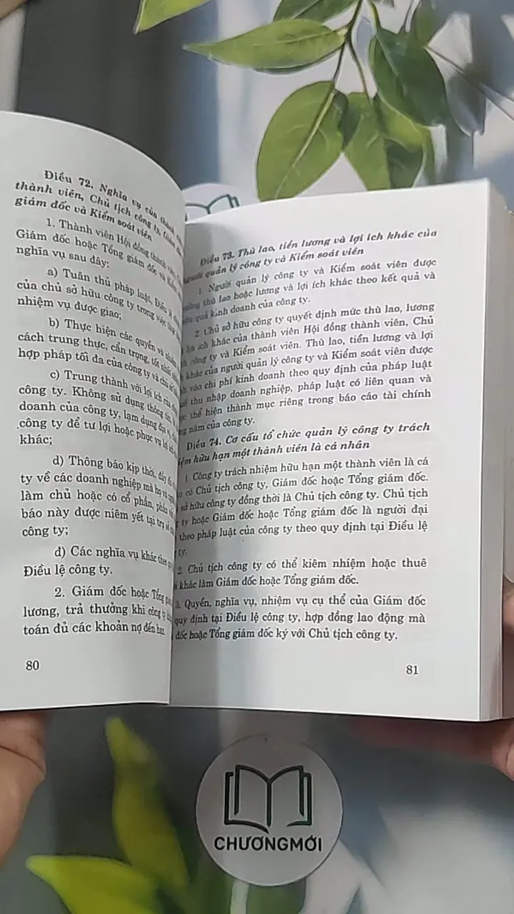 Luật Doanh nghiệp (Song ngữ Việt - Anh) 688498