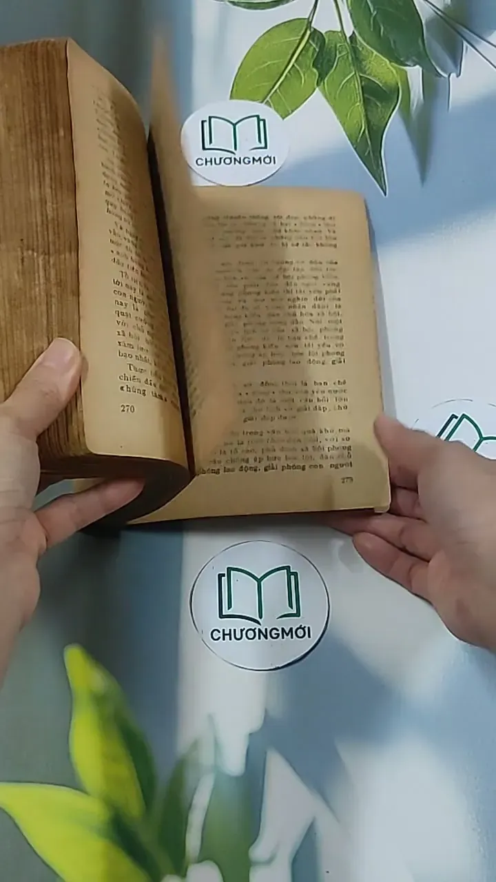 Nhận Thức và Thẩm Định (1983) - Đông Hoài 674969