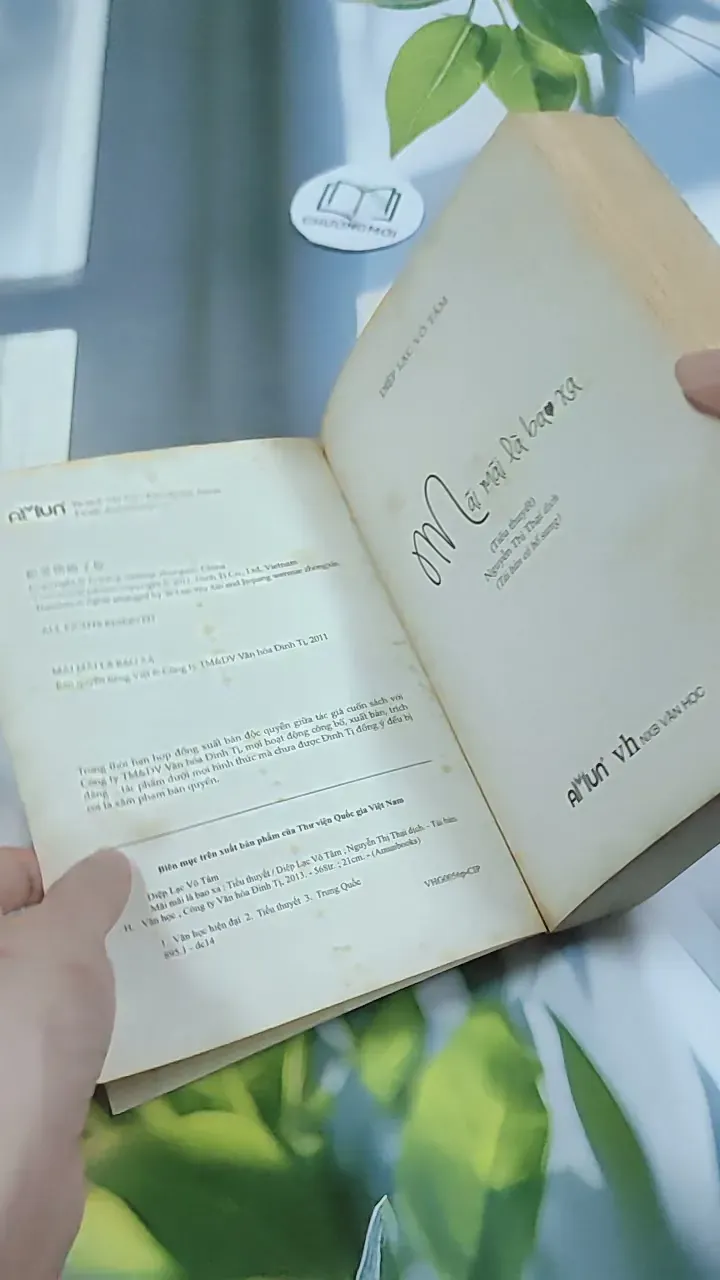 Mãi Mãi Là Bao Xa - Diệp Lạc Vô Tâm 744748