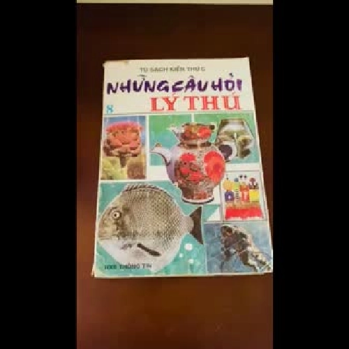 Những câu hỏi lý thú (1991)