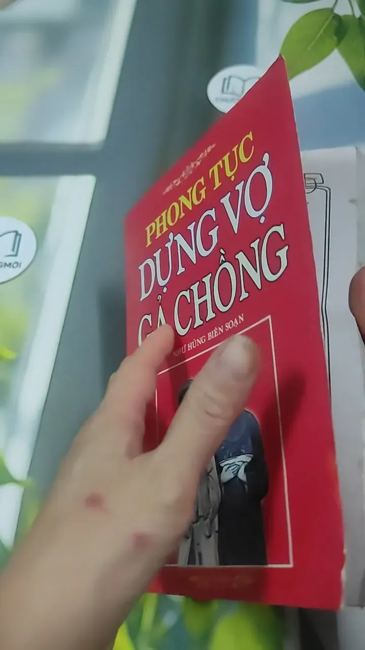 Phong Tục Dựng Vợ Gả Chồng - Như Hùng 727386