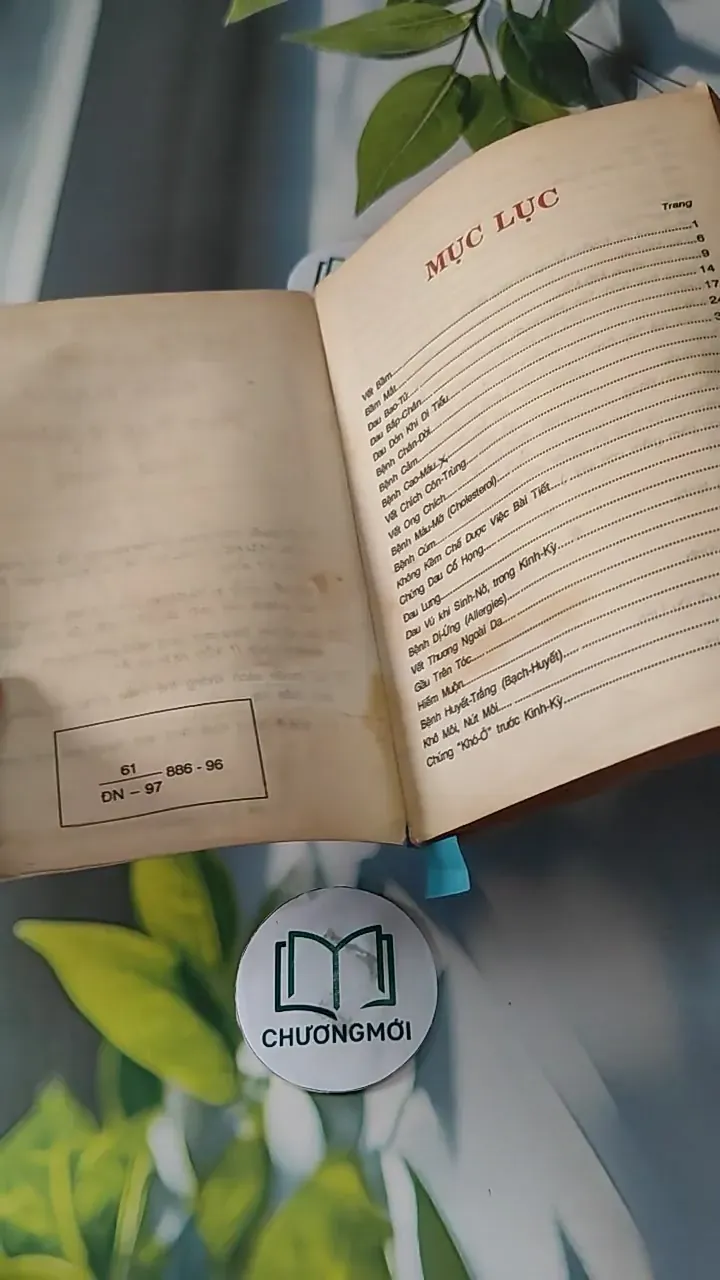 Cẩm Nang Mẹo Vặt Y Khoa Thực Dụng - Đặng Thị Ngọc Trâm 727271