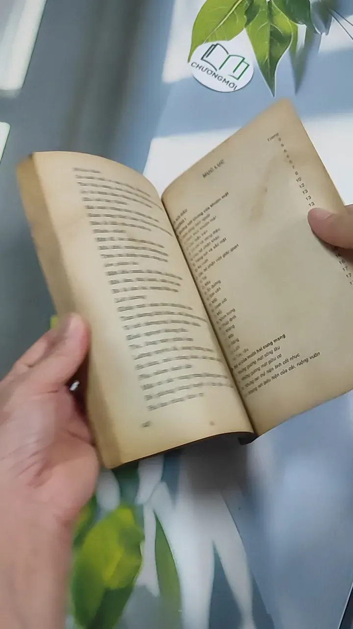 Những Bí Ẩn Trong Cuộc Đời Qua Khuôn Mặt & Bàn Tay - Khánh Vân - Mai Hoàng 776160