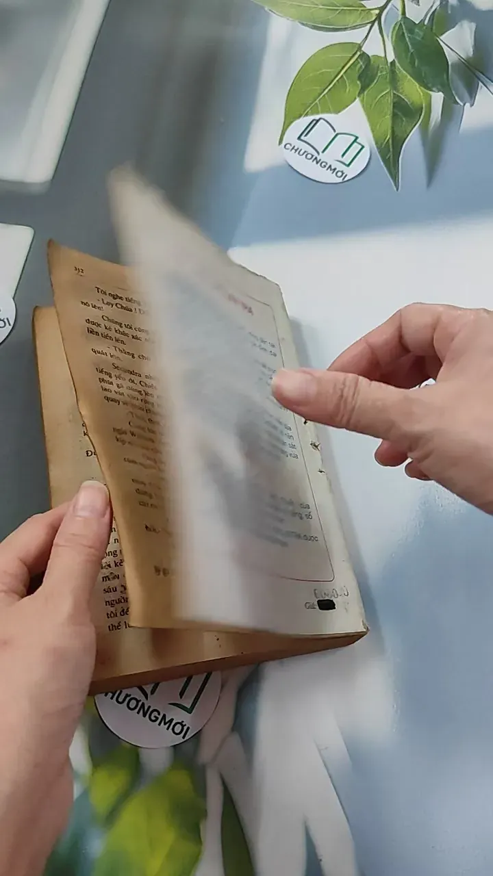 [XƯA] Ông Chủ Ballantra (1990) - Robert Louis Stevenson 776098