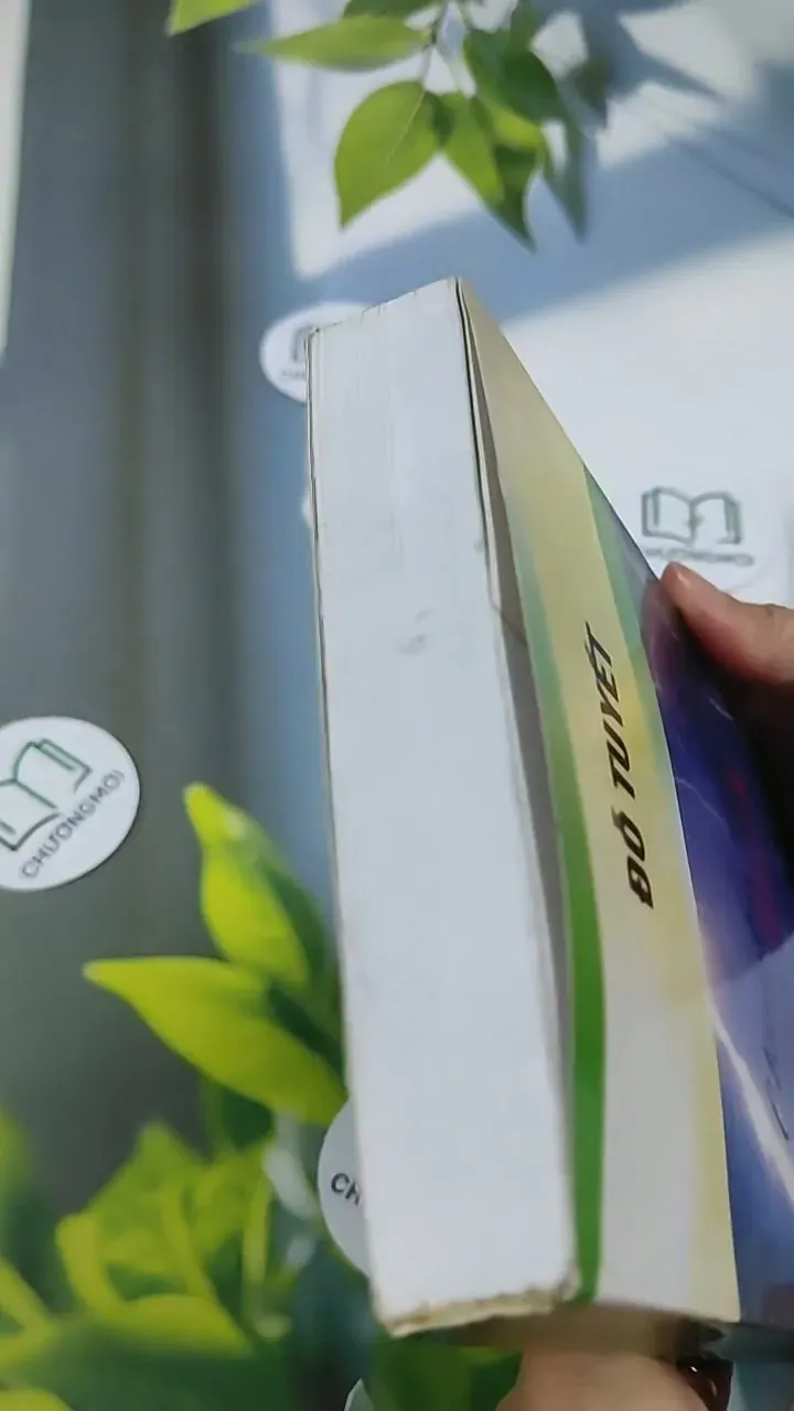 Chuyện Tình Sét Đánh - Đỗ Tuyết 705741