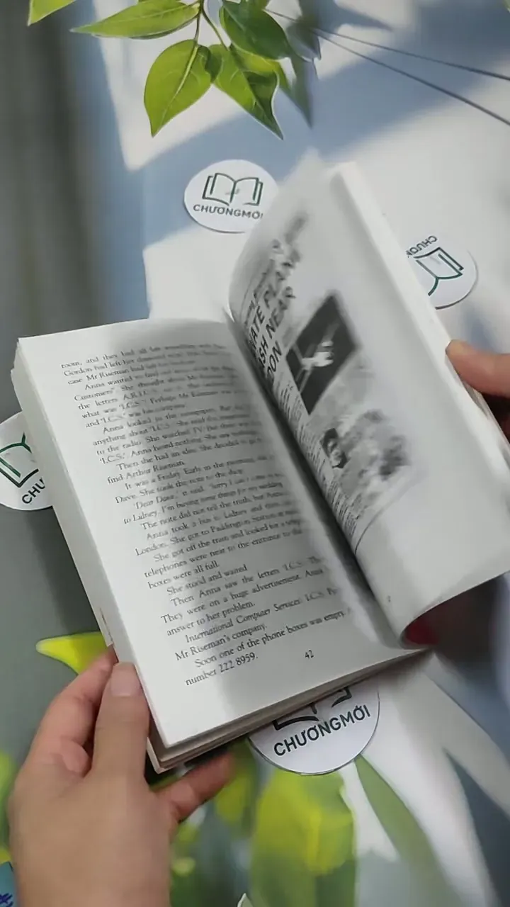 The Stranger - Norman Whitney 707313