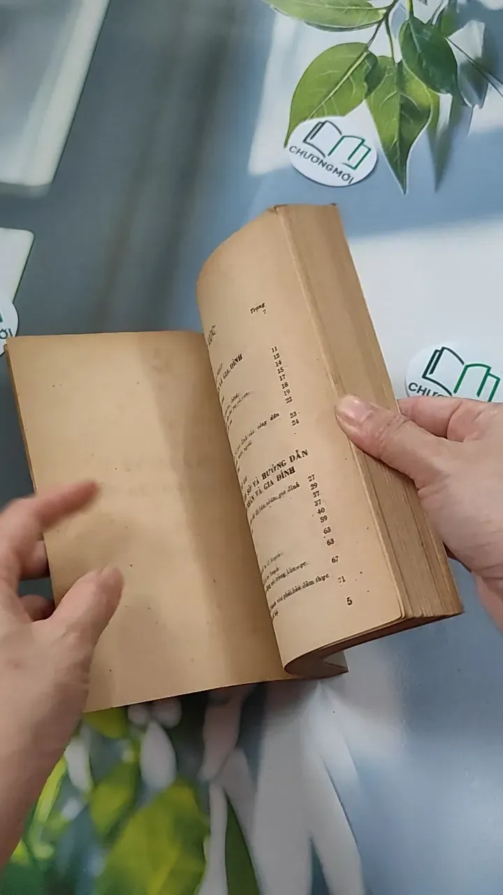 [XƯA] Luật Lệ Về Hôn Nhân Và Gia Đình (1987) 776079