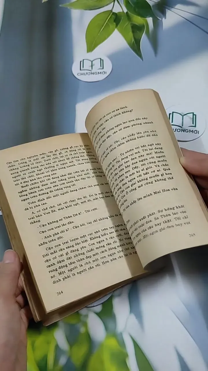 Hoa Hoàng Lan - Nguyễn Phan Hách 713866