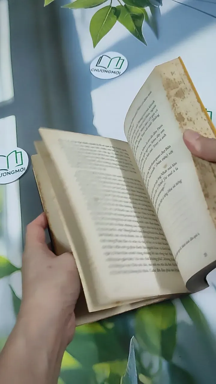 Trên Đường Băng - Tony Buổi Sáng 787079