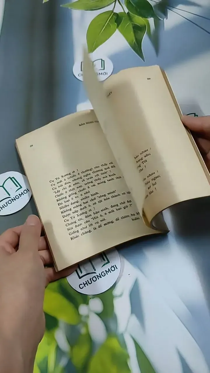 Những Điều Trông Thấy - Thơ  - Bảo Định Giang 713888